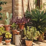 Scala - Eco Boutique In Le Marche Bed & Breakfast 3*