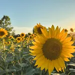 Scala - Eco Boutique In Le Marche
