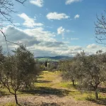 Scala - Eco Boutique In Le Marche 3*