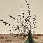 Scala - Eco Boutique In Le Marche Potenza Picena
