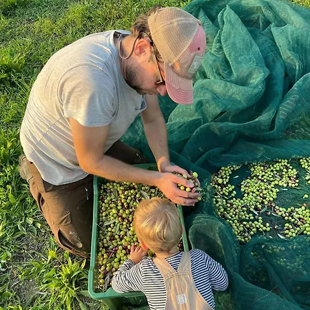 Bed & Breakfast Scala - Eco Boutique In Le Marche 3*