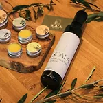 Oda ve Kahvaltı Scala - Eco Boutique In Le Marche Potenza Picena