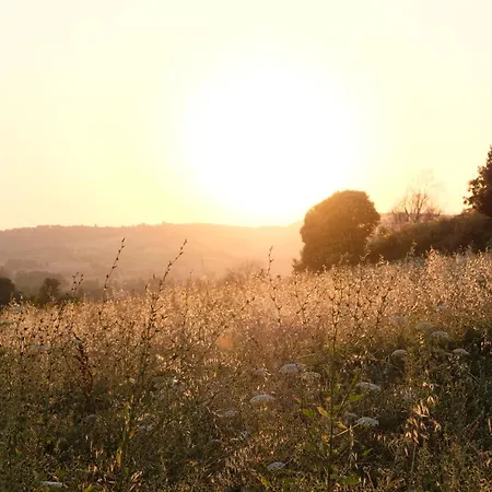 Scala - Boutique Eco In Le Marche 3* Potenza Picena