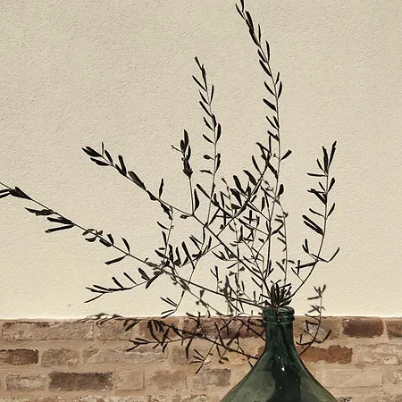 Scala - Eco Boutique In Le Marche Potenza Picena